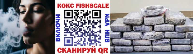 COCAIN Fish Scale  купить закладку  Северодвинск 