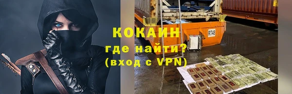 стаф Дмитровск