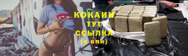 стаф Дмитровск
