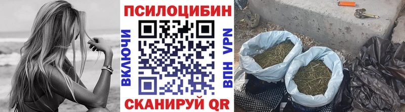 наркотики  Северодвинск  Псилоцибиновые грибы Psilocybe 