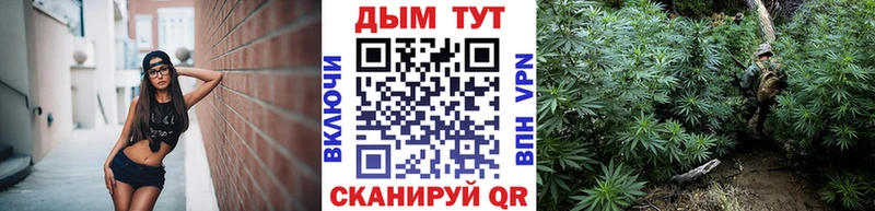 наркошоп  Северодвинск  Шишки марихуана тримм 